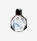 FRANCESCA DELL'ORO- White plumage